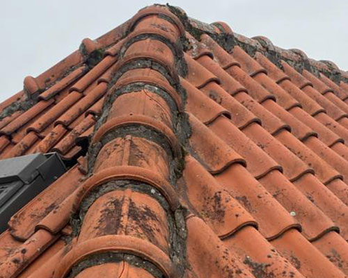 Nokvorsten renoveren 's-Hertogenbosch